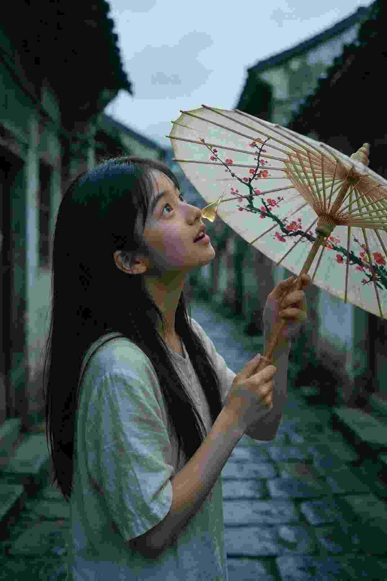 古墓秘影